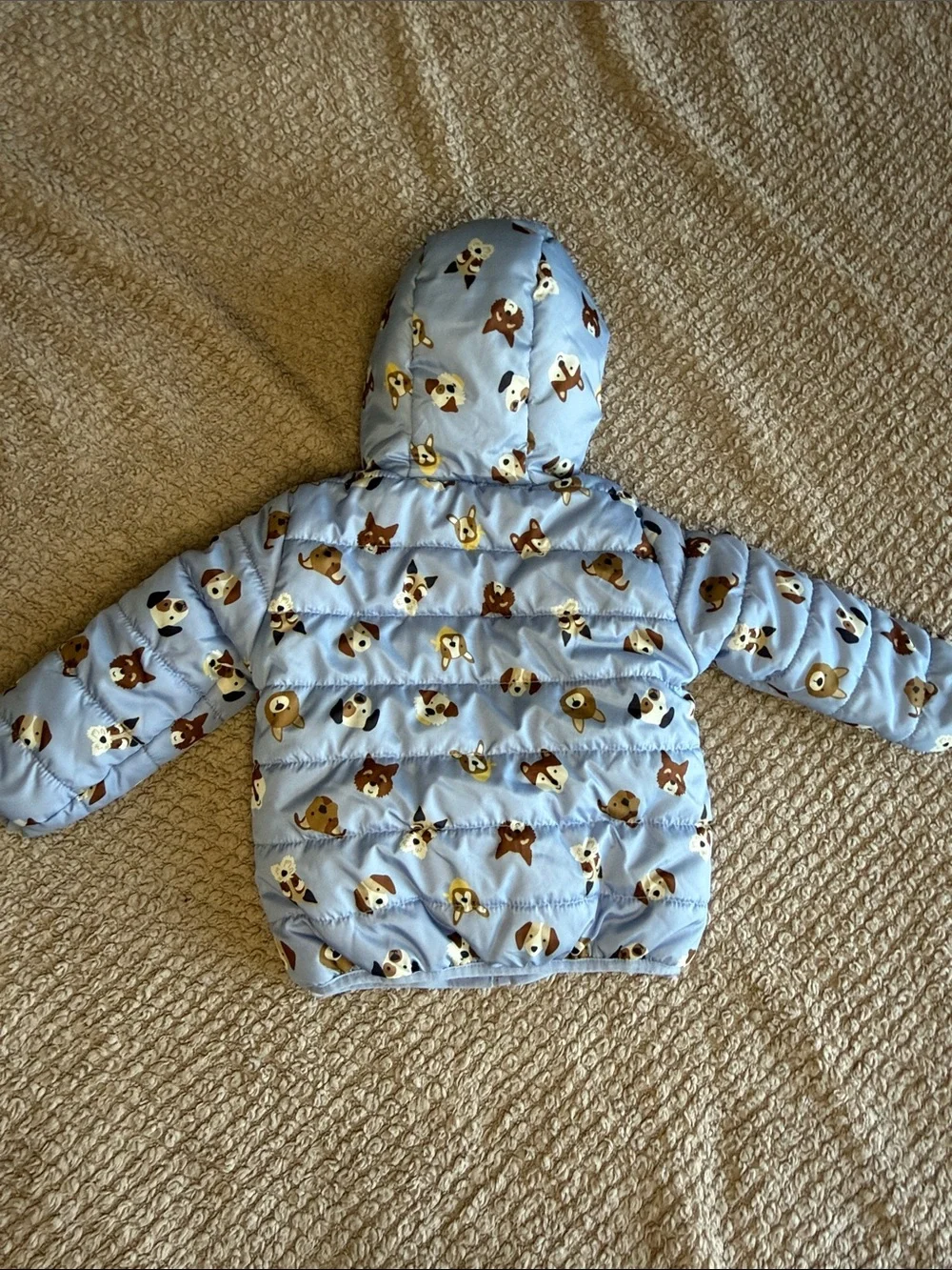 Cute Dog Print Puffer Jacket